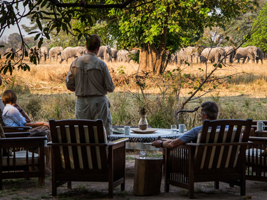 Normann Carr Safaris - South Luangwa